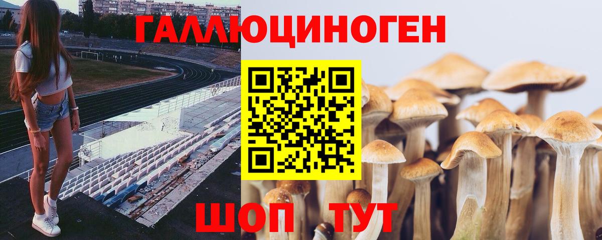 Галлюциногенные грибы мухоморы Надым
