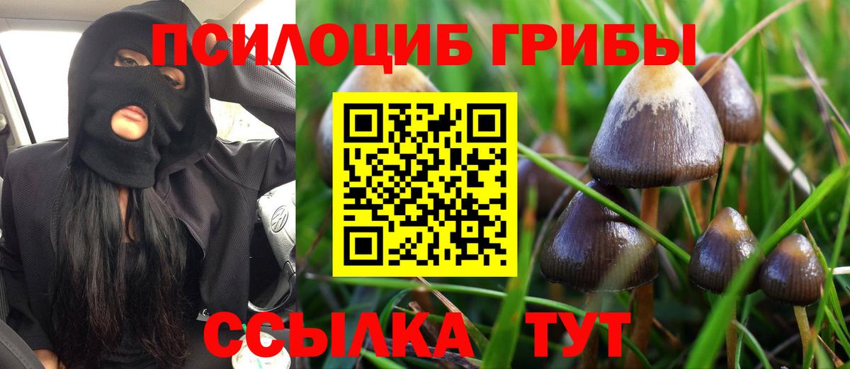 Надым  Псилоцибиновые грибы MAGIC MUSHROOMS  Вход с VPN 